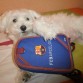 Jaki con estuche del Barça !